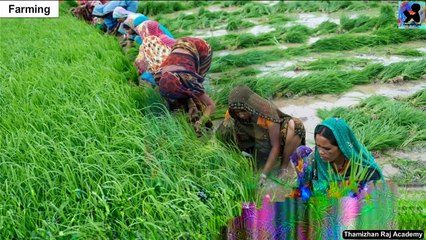 Class 6th_EM_SOCIAL SCIENCE_Rural Livelihoods