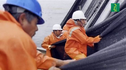 El Niño hunde en la crisis a la industria pesquera peruana