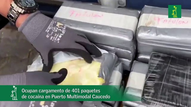 Ocupan cargamento de 401 paquetes de cocaína en Puerto Multimodal Caucedo