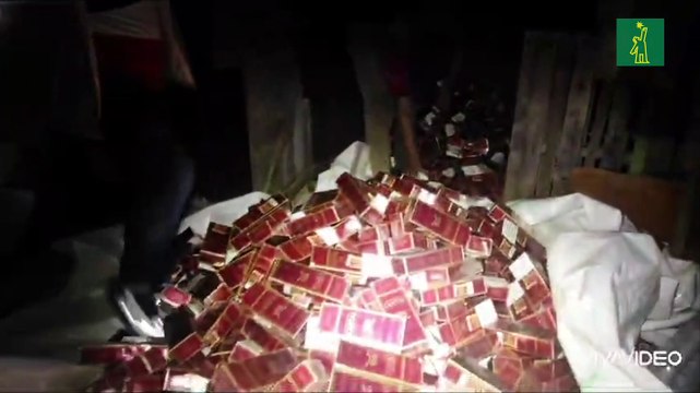 Cesfront decomisa 756,000 unidades de cigarrillos en Montecristi