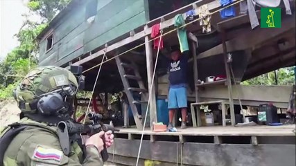 Colombia y Brasil asestan duro golpe a la minería ilegal en la Amazonía