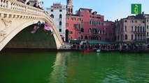 Activistas ambientales tiñen de verde el Gran Canal de Venecia