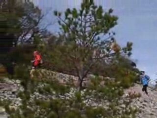 080427_ventoux-05-fin-descente