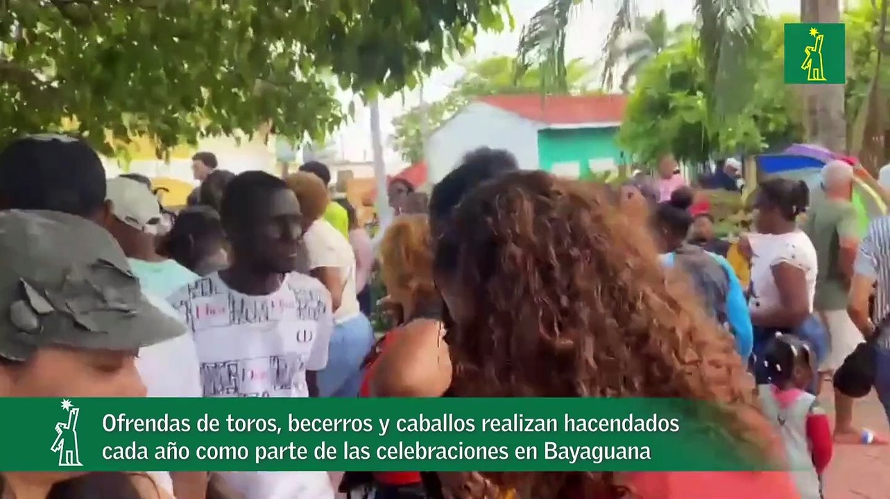 Ofrendas de toros, becerros y caballos realizan hacendados cada año como parte de las celebraciones en Bayaguana