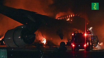 Los pilotos de Japan Airlines no vieron al avión con el cual chocaron