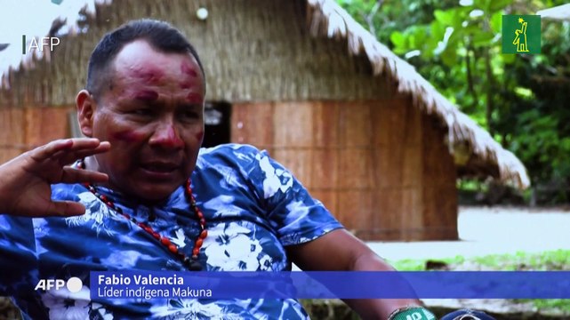 Indígenas colombianos vs. créditos de carbono: el lado oscuro de la geopolítica ambiental