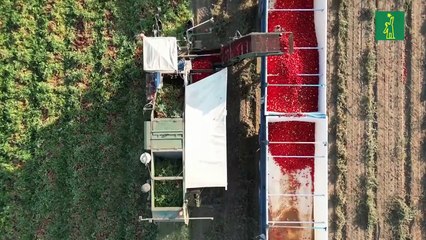 La digitalización, clave para garantizar la sostenibilidad de la agricultura