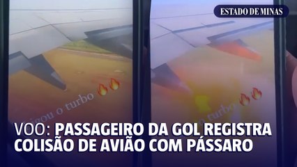 Passageiro da Gol registra momento em que avião colide com pássaro