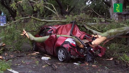 Tormenta con vientos huracanados deja 16 muertos y destrucción en Argentina y Uruguay