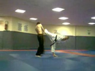 Ushiro Ura Mawashi Geri