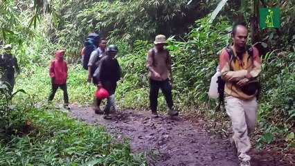 Once alpinistas fallecidos y doce desaparecidos tras la erupción de un volcán en Indonesia