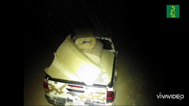 CESFronT incauta 756,000 unidades de cigarrillos durante operativo en Manzanillo