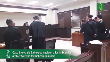 Caso Sierra de Bahoruco vuelven a los tribunales; ambientalistas formalizan denuncia