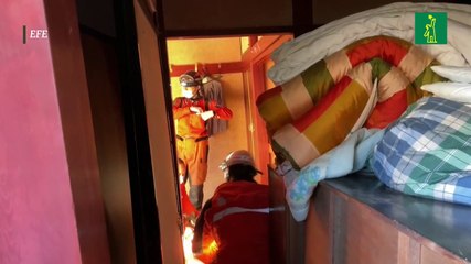 Un perro rescatista salva a una anciana en Japón 72 horas después del terremoto