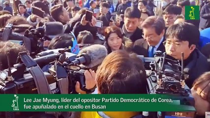 Apuñalado en el cuello, líder del opositor Partido Democrático de Corea, Lee Jae Myungfue
