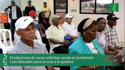 Productores de cacao solicitan ayuda al presidente Luis Abinader para no irse a la quiebra