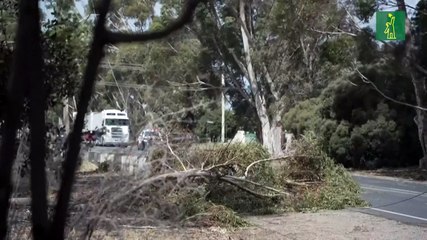 Tormentas matan a una persona y dejan sin luz a 285,000 hogares en Australia