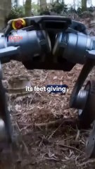 China's high-speed, off-road robot is a gamechanger on tough terrain