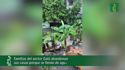 Familias del sector Galá abandonan sus casas porque se llenan de agua
