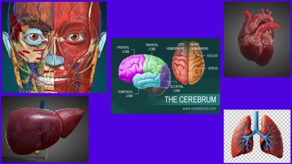 10 Questions - Test your General Medical Knowledge | QUIZ TIME