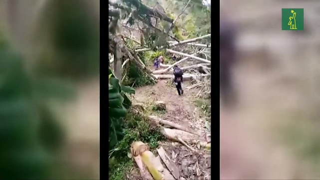 Inundaciones y deslizamientos dejan más de 20 muertos en Papúa Nueva Guinea