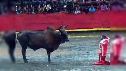 Joven herido en corridas de toros lamenta no participar