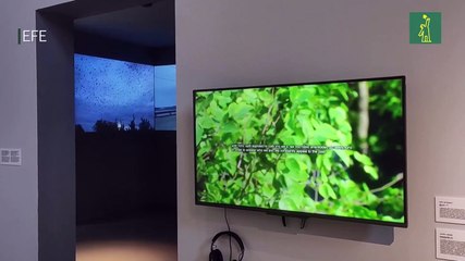 En medio de la invasión rusa, el arte ayuda a expresar el dolor en Ucrania