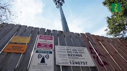 Gobierno de EE.UU. investiga las más de 70.000 interrupciones en redes de telefonía móvil