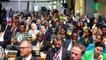 Piden en la cumbre de la ONU en Kenia más multilateralismo ambiental y menos distracciones