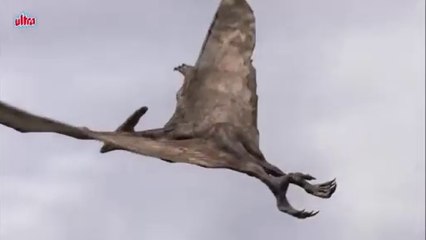 Monster birds full Hindi dubbed movie