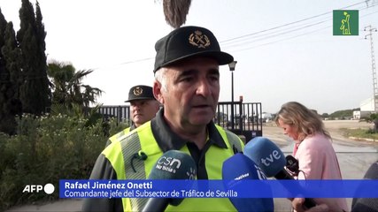 Seis muertos en España al estrellarse un camión contra un control policial