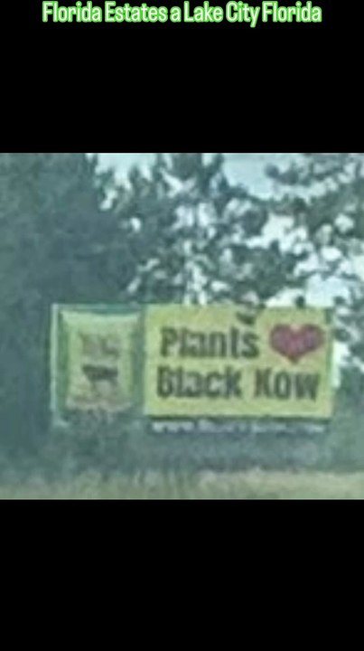 Florida Estates a Lake City, FL 2024