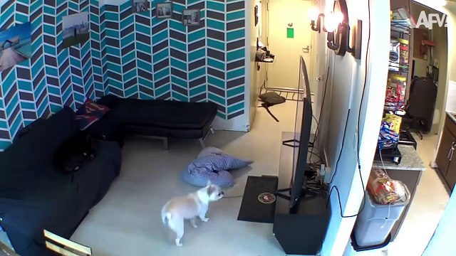 Fails That Cost a Fortune! 💸 Funny Expensive Fails
