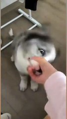 It's so fun to do this🤣