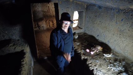 L’Arte degli Imbecilli: La Profanazione delle Tombe Etrusche e l’Indifferenza verso la Storia