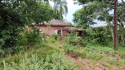 A VERDADE REVELADA - ESSA FAZENDA NUNCA FOI DO ZACARIAS - CONHEÇA TUDO SOBRE O SÍTIO COLINA