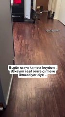 Manipülatör diyerek olayı hafife almayalım, şeytani bir tavrı var 😂