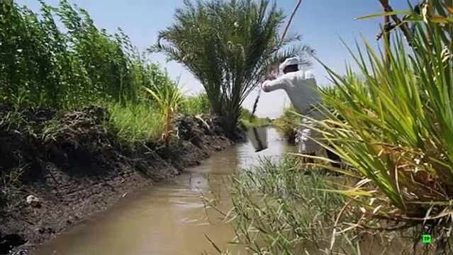 Documental Antiguas Civilizaciones: Orígenes y Misterios Revelados
