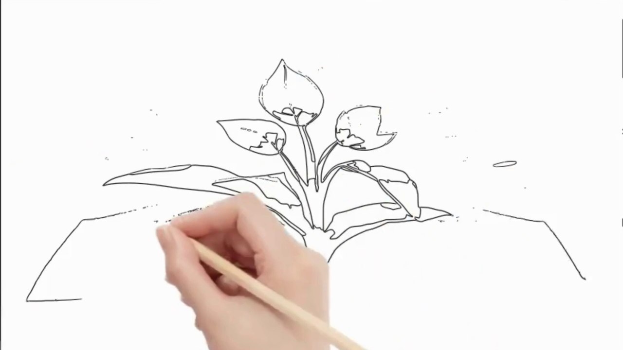 ENSEÑANZAS DE SUN TZU || SUN TZU Y EL ARTE DE LA GUERRA