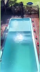 Next summer, swimming and eating watermelon will make your spleen hurt🤣