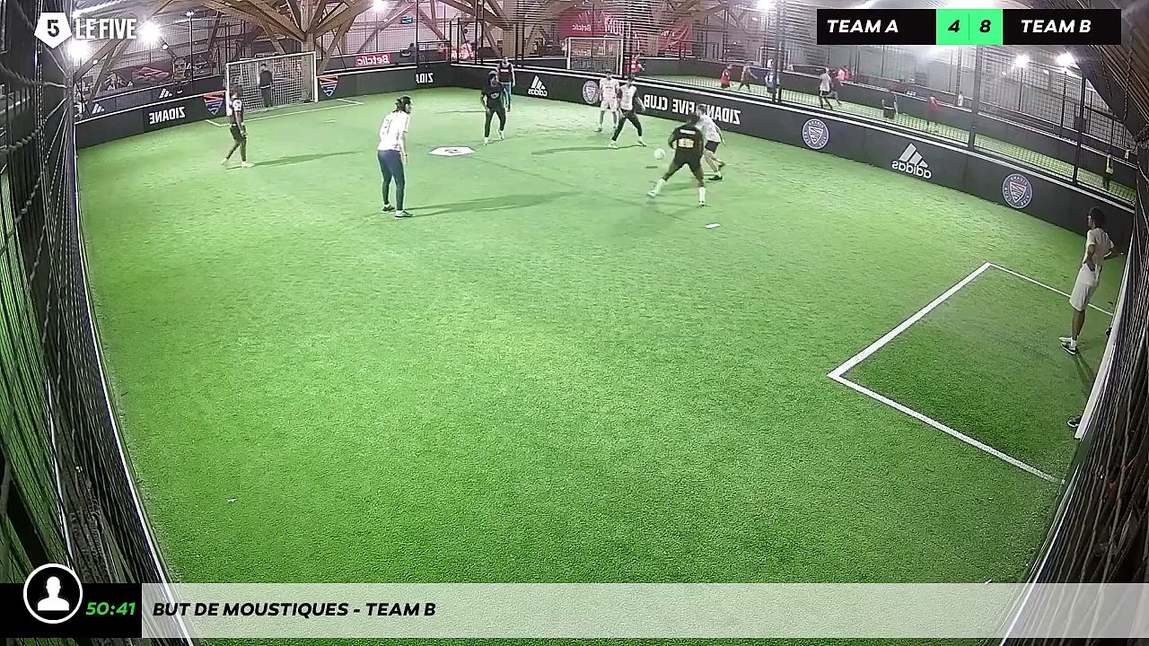 But de Moustiques - Team B