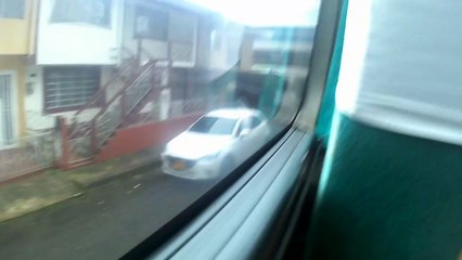 A los Guayacanes Parte 1
