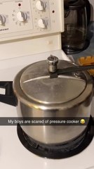 Dog Hides from Pressure Cooker
