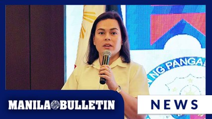 VP calls for continued vigilance vs terrorism following death of top NPA leader