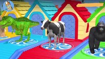 Videos para niños,| rampa | ANIMALES | Colores