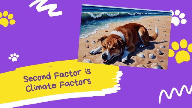 Bravecto 1 Month! Should I choose 1 Month or 3 Month for dog fleas and ticks?