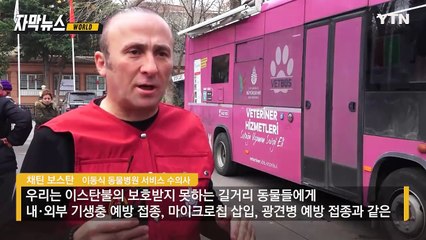 [자막뉴스] '멍냥이 천국' 튀르키예... 오싹한 전망에 조치 나섰다 / YTN