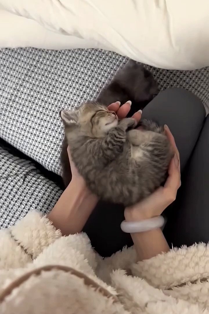 ⁣Cute animals 🥰 #cuteanimals #pets #animals