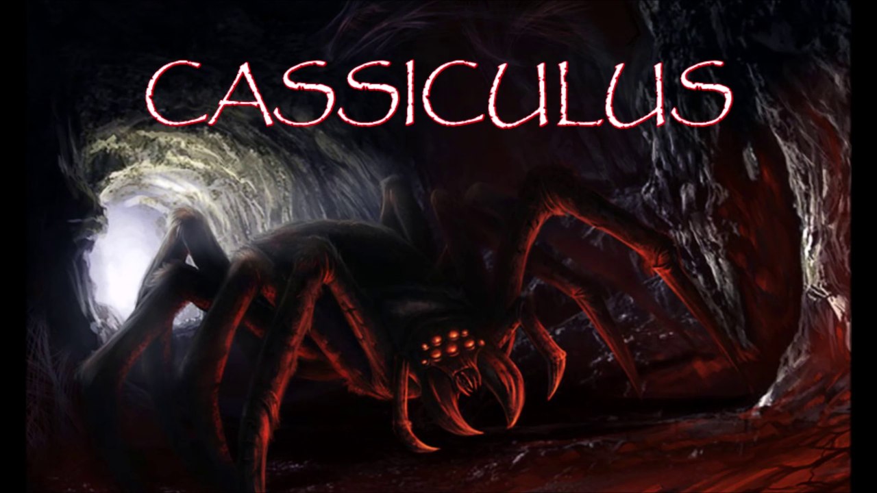 Hat jemand Angst vor SPINNEN ? 🕷️😱🕷️