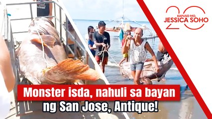 Monster isda, nahuli sa bayan ng San Jose, Antique! | Kapuso Mo, Jessica Soho